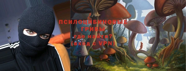 мяу мяу мука Арсеньев
