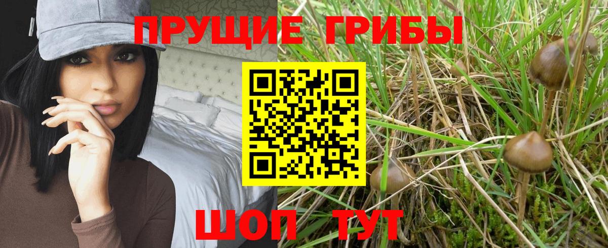 Псилоцибиновые грибы Psilocybine cubensis  Вход с VPN  Галлюциногенные грибы Psilocybine cubensis  Арсеньев 