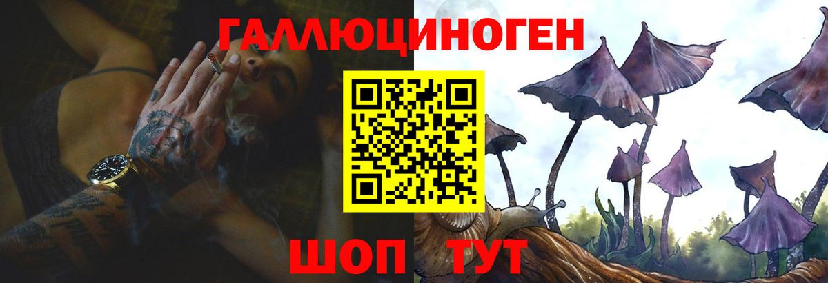 Псилоцибиновые грибы GOLDEN TEACHER Арсеньев
